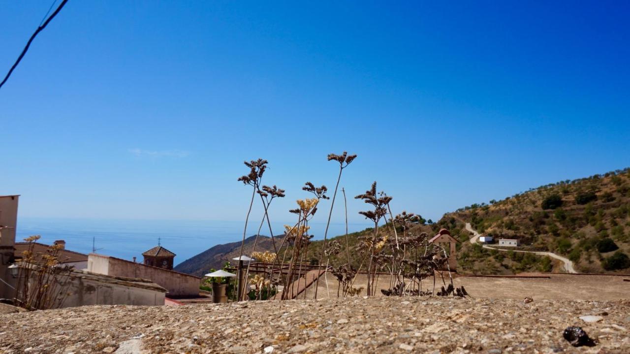 Casa Amigos Sorvilan - La Almendra Екстериор снимка