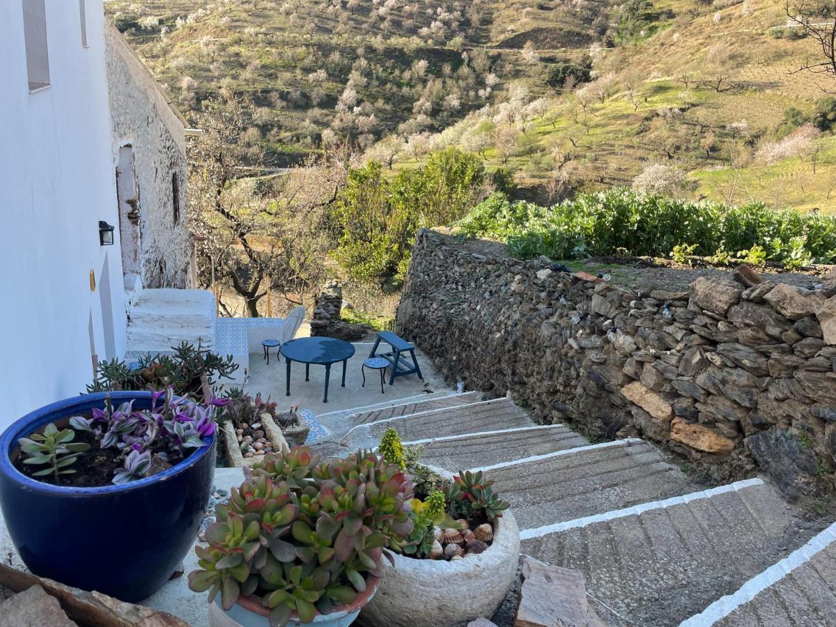 Casa Amigos Sorvilan - La Almendra Екстериор снимка